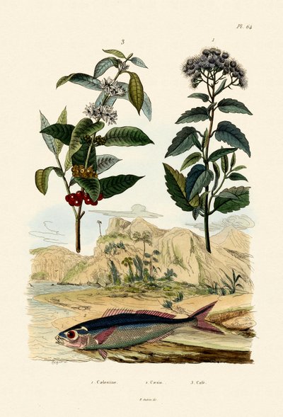 Fusilier by French School
